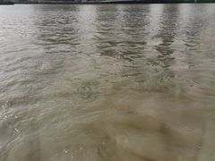 -董家渡渡口售票处