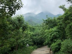 景点-阳台山自然风景区