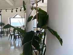 -ChanDu躔度咖啡(灯塔店)