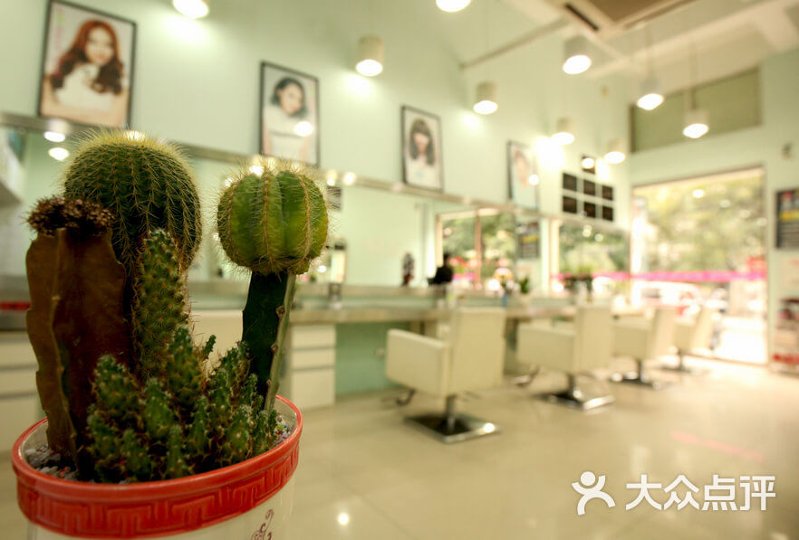 阿杰发艺(营门口)图片 - 第20张