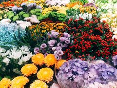-双季花艺园艺市场(浦东店)