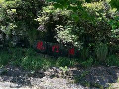 -石台牯牛降景区