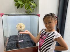 -酌宴府The China Club·广州万富希尔顿酒店(云城东路店)
