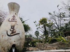 -金孔雀温泉旅游度假村