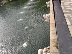 -九龙潭景区