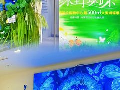 -深圳龙华星河COCO City(民治店)