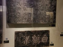 -白鹤梁水下博物馆