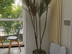 -杏林康桥中医正骨·体态矫正·跌打损伤·推拿按摩(国贸建外SOHO店)