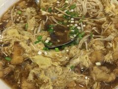 -陶然饺子城(奥体中路店)