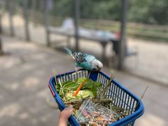 -吉姆冒险世界(蓟州店)