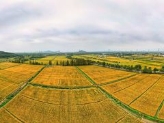 -上海佘山国家森林公园天马山园