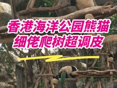 -香港海洋公园
