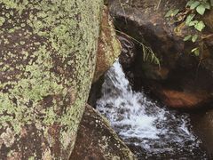 -梧桐山风景名胜区