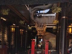 -小龙翻大江文化火锅(宽窄店)