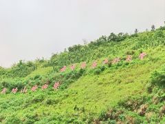 -萍乡武功山风景名胜区