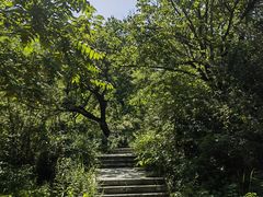 -云蒙山风景区
