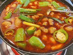 湘味肥肠火锅-湘肠香火锅店(团结湖店)