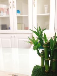 点击看大图 -scarlet斯卡莱美容护理机构