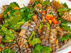 -九子跳跳蛙(石牌东店)