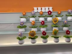 -海底捞火锅(北金鹰店)