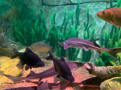 -沈阳海洋探索中心