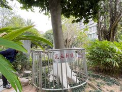 -广州神农草堂中医药博物馆