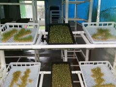 -兰陵国家农业公园