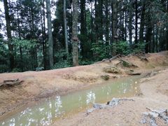 -井冈山风景名胜区-黄洋界