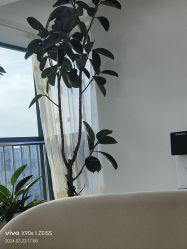 -HEYAN荷妍专业脱毛连锁机构