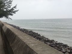 -东郊椰林