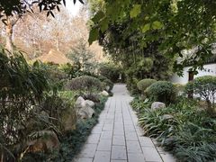 -望江楼公园