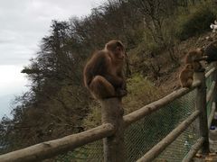 -峨眉山风景名胜区