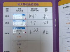 -全心全意连锁动物医院·微创中心·内科急重症·心脏专科(丰管路店)