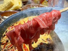 -阳阳老火锅(小南门店)