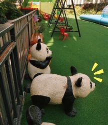 -可可天空农场(中大店)