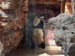 -石家庄市动物园