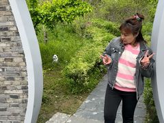 -南汇桃花村