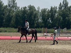 -北京群众马术培训基地