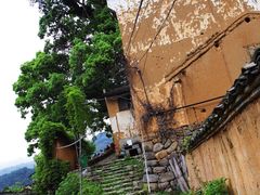-杨家堂村
