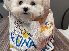 -宠物家(双井店)