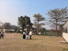 -长洲岛都市农业公园