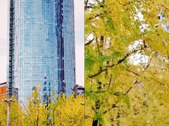 -百林公园-两江幸福广场