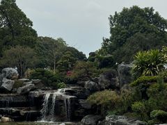 -东莞植物园