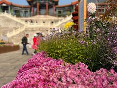 -北京十三陵国家森林公园蟒山景区