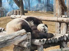 -鄂尔多斯野生动物园