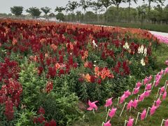 -歌斐颂巧克力小镇