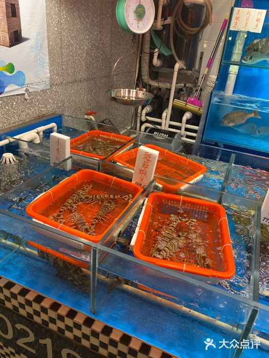行家海鲜火锅酒家(静安寺店)水产区图片