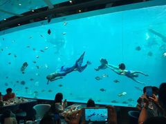 -瑞德姆美人鱼海底演艺主题餐厅(亚龙湾店)