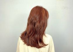 点击看大图 -YDO SALON