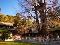 -潭柘寺景区